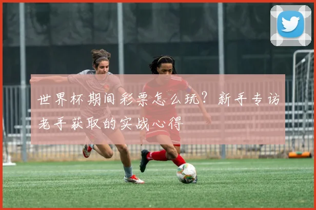 世界杯期间彩票怎么玩?新手专访老手获取的实战心得