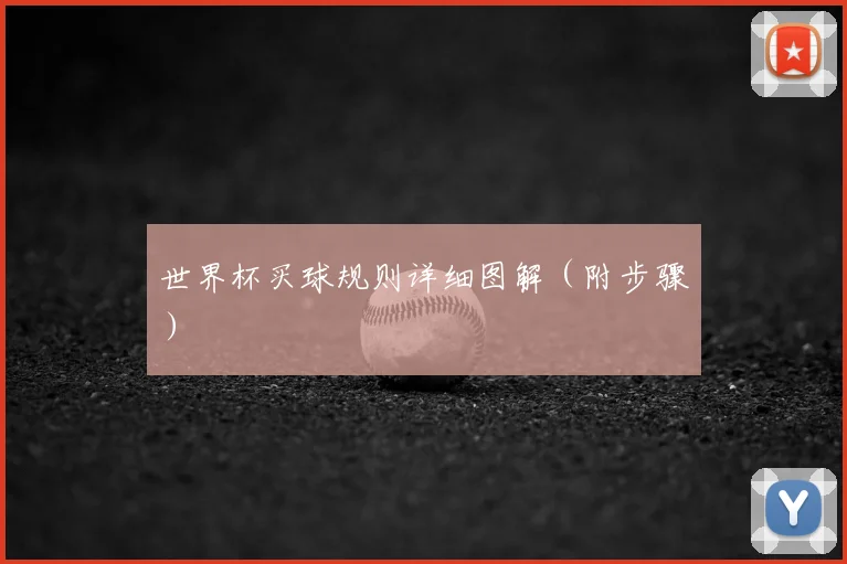 世界杯买球规则详细图解（附步骤）