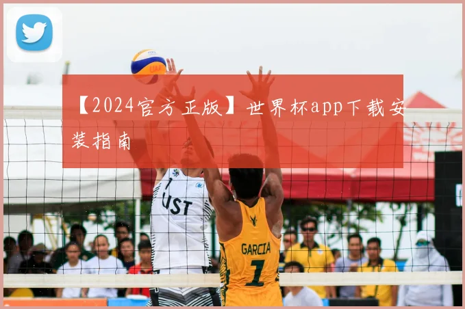 【2024官方正版】世界杯app下载安装指南