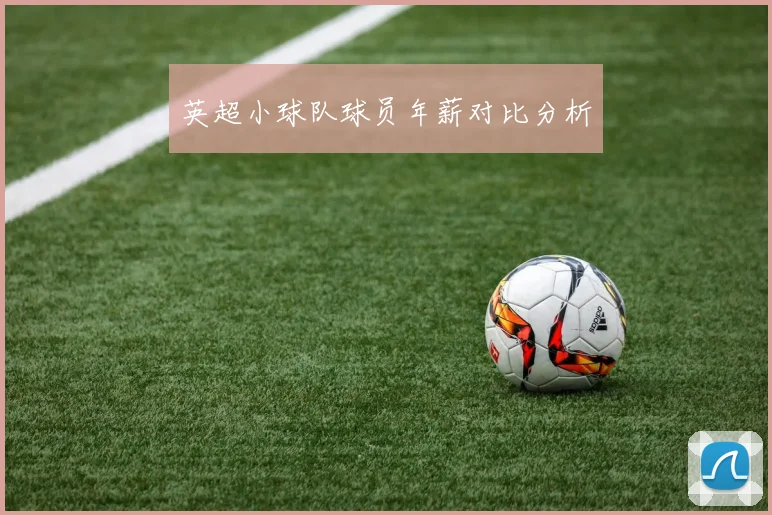 英超小球队球员年薪对比分析