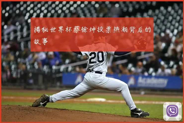 揭秘世界杯蔡徐坤投票热潮背后的故事