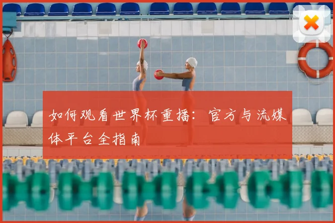 如何观看世界杯重播：官方与流媒体平台全指南