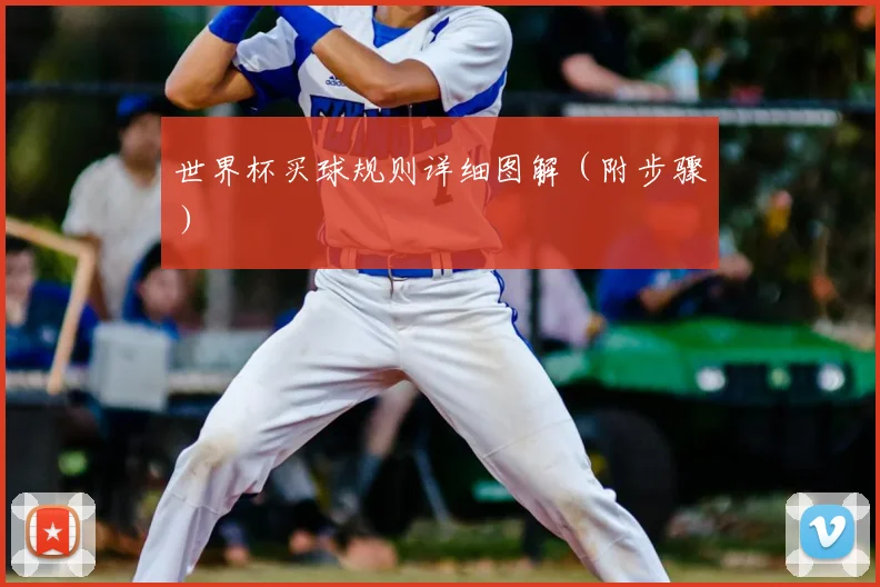 世界杯买球规则详细图解（附步骤）