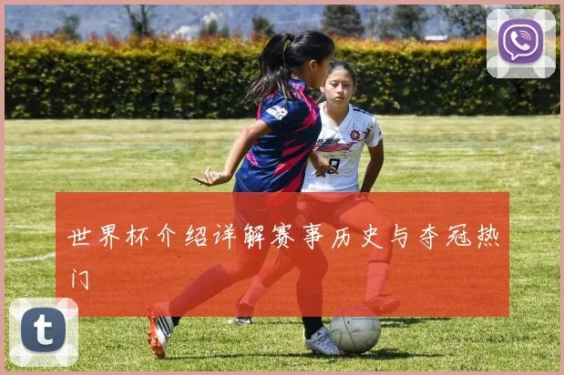 世界杯介绍详解赛事历史与夺冠热门