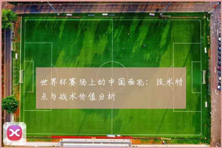 世界杯赛场上的中国面孔：技术特点与战术价值分析