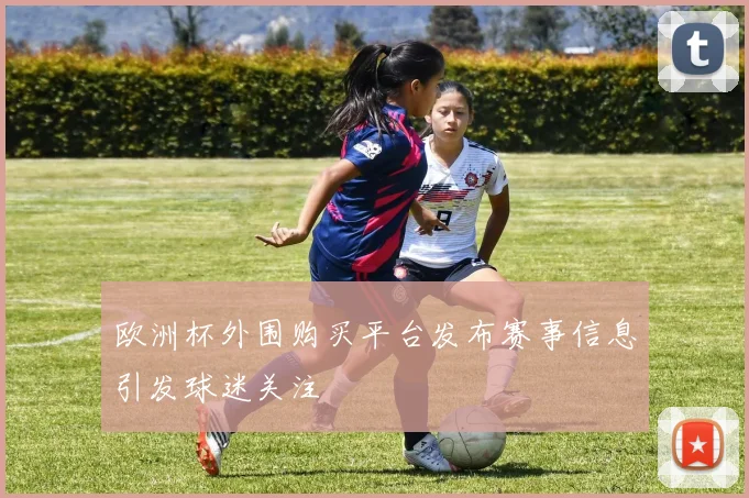 欧洲杯外围购买平台发布赛事信息引发球迷关注