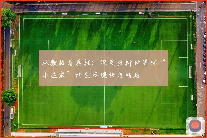从数据看真相：深度分析世界杯“小庄家”的生存现状与结局