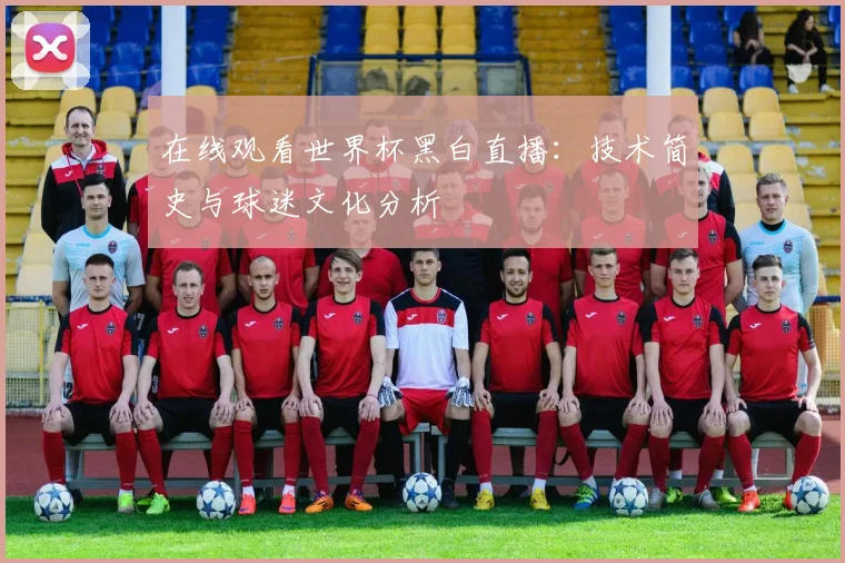 在线观看世界杯黑白直播：技术简史与球迷文化分析